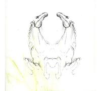 My Brightest Diamond - Tear It Down