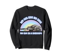 My Cat Has No Idea Funny Existential Rainbow Design Sweatshirt
