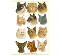 My Cats Journal Diary: A Whimsical Writing Companion for Everyday Reflections