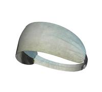 My Daily Bernese Mountain Dog,Sports Sweatband for Unisex Multi Headband Elastic Exercise Hairband