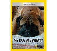 Artist Not Provided - My Dog Ate What? [DVD] [Region 1] [US Import] [NTSC]