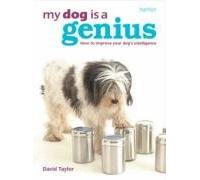 My Dog is a Genius: Understand and improve your dog's intelligence