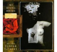 As the Flower Withers