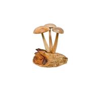 My Family House Mushrooms on Log Statue - Wood - Hand Carved Wooden Plant Figurine - 14 cm - Set of 3