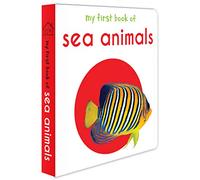My First Book Of Sea Animals: First Board Book