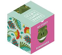 My First Dinosaurs (Tiny Cloth Books)