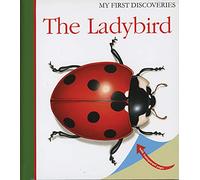 My First Discovery: The Ladybird - A Beautiful Nonfiction Book About Garden Bugs and Insects for Kids Aged 4-8: Volume 8