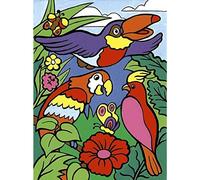 My First Paint by Number Set - Birds