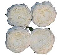My Flair Artificial Flower Rose See Item Dimensions