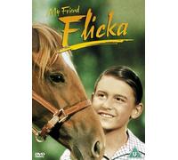 My Friend Flicka [DVD] [1943]