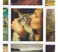 My Friends All Died in a Plane Crash