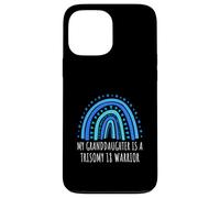 My Granddaughter Is A T18 Warrior Gift Case for iPhone 13 Pro Max