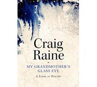 My Grandmother's Glass Eye: A Look at Poetry