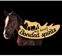 My Horse: Bonded Spirits PC Steam CD Key