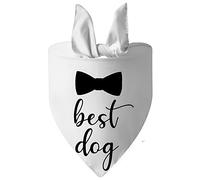 My Humans are Getting Married Dog Bandana, Engagement Gifts for Couples Pet Accessories(White Bow)