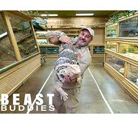 My Hyena Attacks Everyone But Me