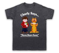 My Icon Art & Clothing Charly Says 70s Retro Public Information Mens T-Shirt, Vintage Slate, Medium