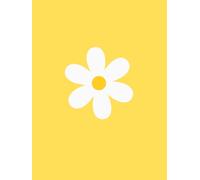 My Journal: Y.P. & O.P. Meeting-Girl.