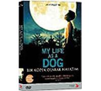 My Life As A Dog - Bir Kopek Olarak Hayatim