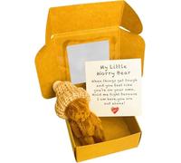 My Little Worry Bear in a Box, 2025 New Handmade Mini Plush Teddy Bear in Box,Pocket Hug Plush Toys, Mini Stuffed Worry Tiny Bear, Gifts Lover Friend Couple for Children Women (Coffee)