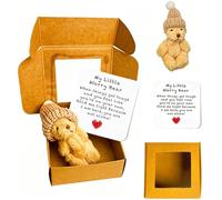My Little Worry Bear in a Box, Worry Dolls Pocket Bear Mini Teddy Bears, Mini Bears Bring a Greeting Card for Giving Birthday Commemorative Gifts to Friends Family(For Ages 15 and Above)