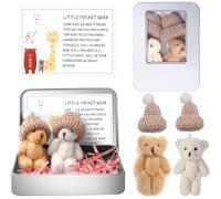 My Little Worry Bear in Tin Box, Handmade Mini Plush Bear in Box, Set of 2 Pocket Greeting Hug For Support, Bears Cards with