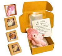 My Little Worry Bear,Little Bear in Box,2026 New Handmade Mini Plush Bear,Pocket Miniature Bears with Hat,Soft Handmade Teddy in A Box Heartwarming Gift,Teddy Keepsake for Lovers (Pink)