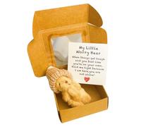 My little worry bear Mini plush teddy in box with emotional map gift for friends family children