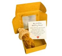 My little worry bear Mini plush teddy in box with emotional map gift for friends family children