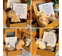 My Little Worry Bear, Plush Crochet Bear Dolls, Little Pocket Bear Hug in a Box, Handmand Emotional Support Crochet Bear Toys, Stuffed Animals with Positive Cards Motivational Gifts