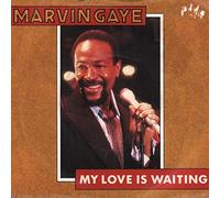 My Love Is Waiting