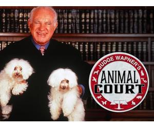 My Manager Killed My Cat, Whose Dog Is It Anyway?