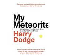 My Meteorite: Or, Without The Random There Can Be No New Thing