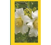 My Notebook: For those who love Senegal and its culture