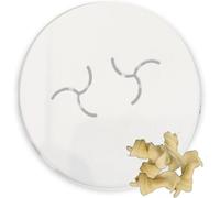 MY Pasta Fusilli XL - Disc Dies for Pasta Machines | Advanced Noodle Disc Die for Homemade Pasta Machines, Compatible with Pasta Machine Series 7000 | Pasta Machine