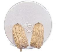 MY PASTA Grissini, shortcrust Pastry, Bread Cakes, Accessories for Philips Pasta Maker Avance 7000 Pastamaker Pasta Disc Matrices Pasta disc for Homemade Pasta Noodles Pastries, 13 mm