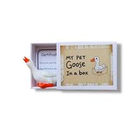 My Pet Goose in a Box with Adoption Certificate, Cute Small Novelty Gift