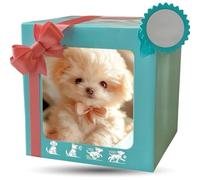 My Realistic Robot Puppy, Interactive Lifelike AI Dog Toy, Walks, Barks & Wags Tail, Rechargeable Smart Pet for Birthday Gift, Role-Play & Emotional Support Companion D