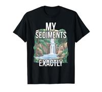 My Sediments Exactly Funny Geologist Hunting Rocks Value Graphic T-Shirt