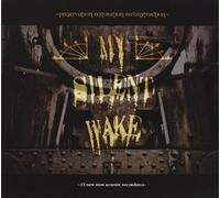 My Silent Wake - Preservation, Restoration, Reconstruction