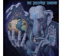 My Sleeping Karma - Atma [VINYL]