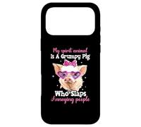 My Spirit Animal Is A Grumpy Pig Who Slaps Annoying People Case for iPhone 17 Pro Max