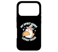 My Spirit Guide Loves Tacos Witch Hat Hamster Case for iPhone 17 Pro