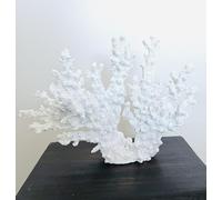My Square Mile Artificial Coral Aquarium Ornament, Resin Faux Bathroom Decor White Coral Reef Decor Decorative Sea Coral Realistic Underwater Sea Plant for Fish Tank Decoration (Lace Coral (27cm))