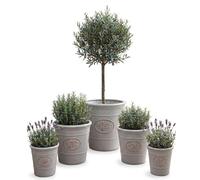 My Square Mile Garden Plant Pot Plastic, Light Grey, 30cm x 30cm 14 Litres