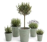 My Square Mile Garden Plant Pots Plastic, Sage Green, 30cm x 30cm 14 Litres