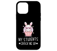 My Students Crack Me Up Funny Easter Day Egg Chick Teacher Case for iPhone 12 mini