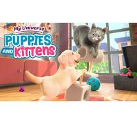 My Universe - Puppies & Kittens