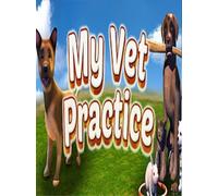 My Vet Practice (PC) - Steam Account - GLOBAL