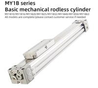 MY1B Series Basic Mechanical rodless Cylinder MY1B10-100/MY1B16-200/MY1B20-300/MY1B25-400/MY1B32-500/MY1B40-600/MY1B50/MY1B63(MY1B20,Stroke 100)